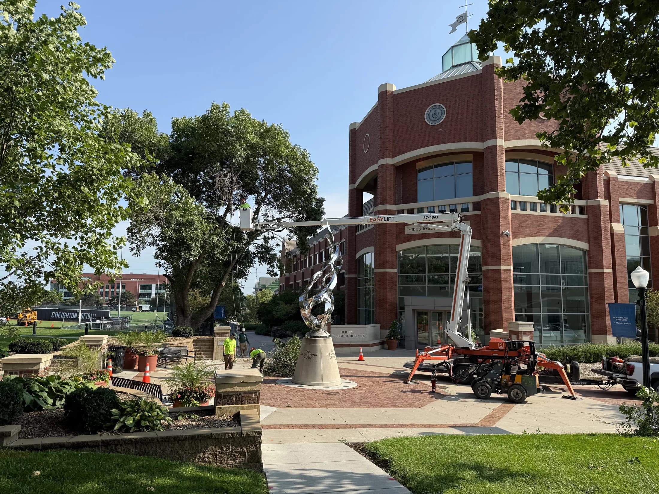 Arborist assessing a tree in Omaha