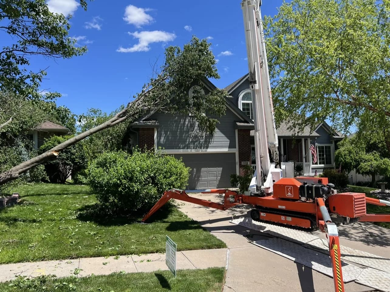 Eden Tree Pros crew removing a large ash tree in the Omaha metro