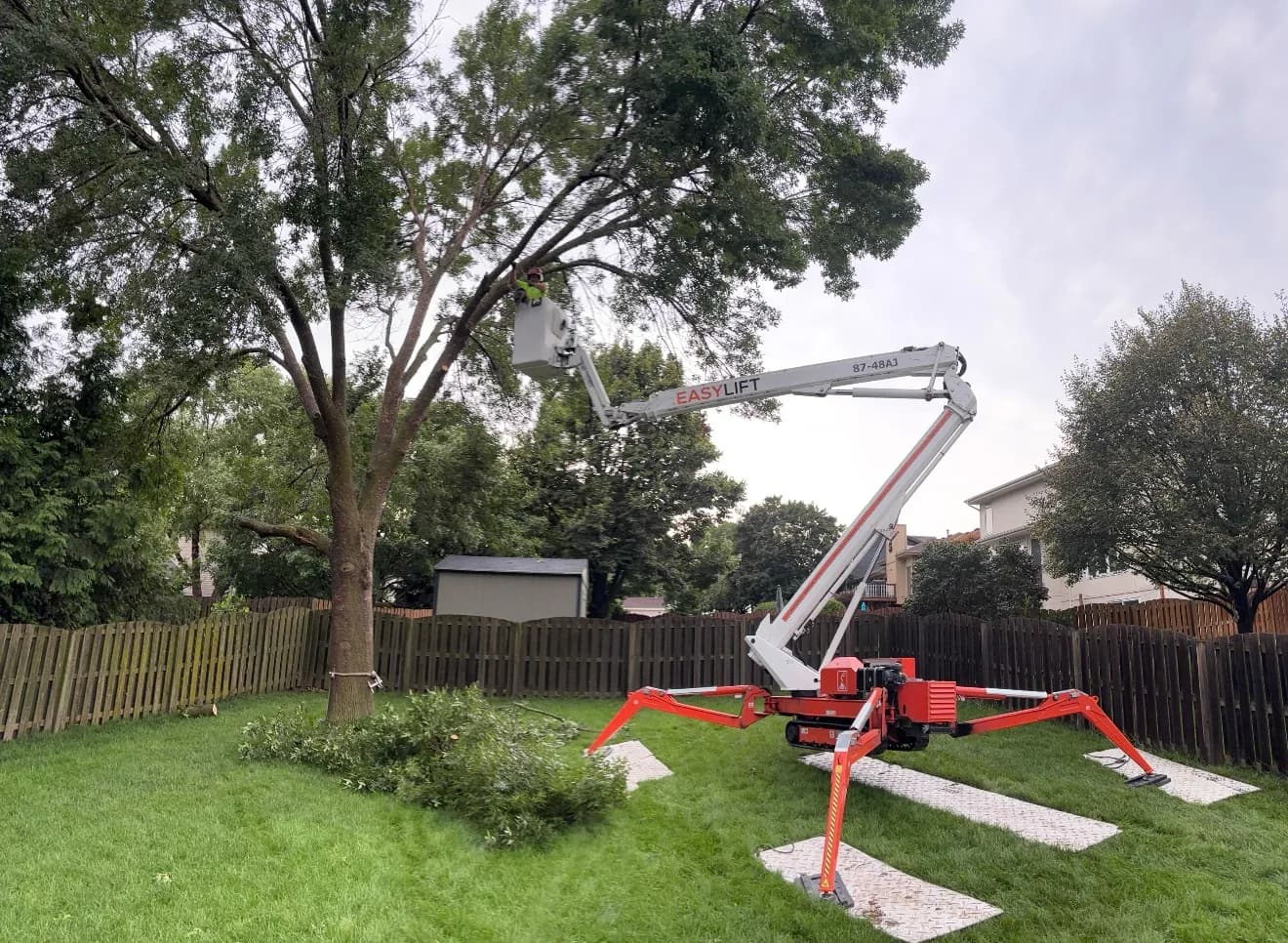 Yard cleaned up after tree work