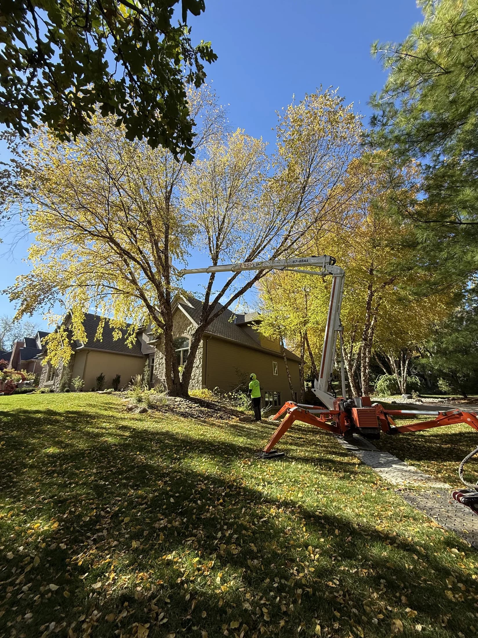 Lawn Care in Omaha by Eden Tree Pros