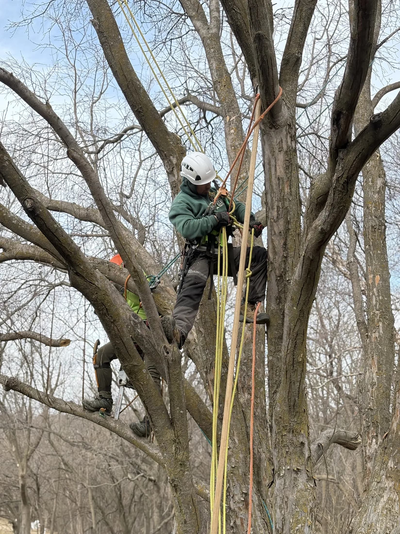Crew pruning ornamental plantings in the Omaha metro