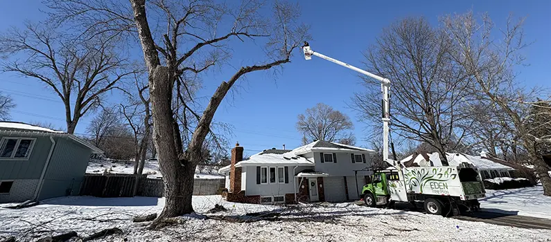 Eden Tree Pros in Omaha, NE work to maintain, trim and when necessary remove trees